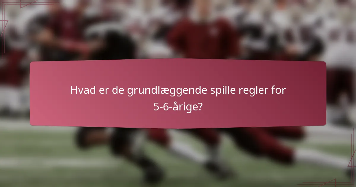 Hvad er de grundlæggende spille regler for 5-6-årige?