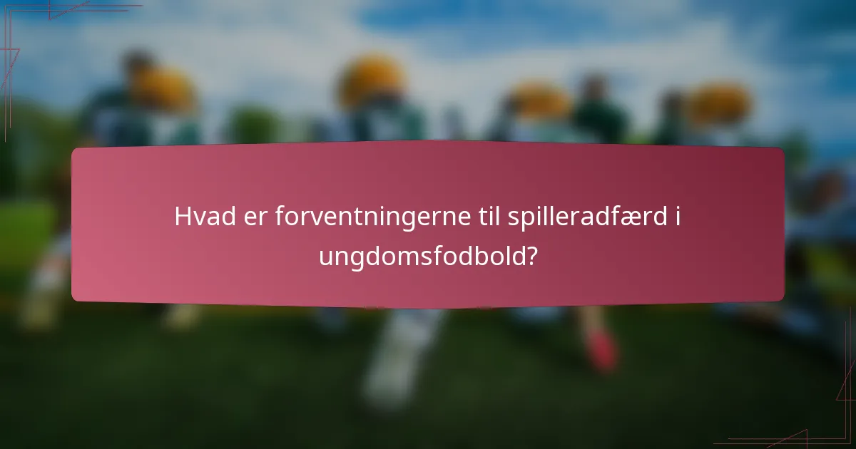 Hvad er forventningerne til spilleradfærd i ungdomsfodbold?