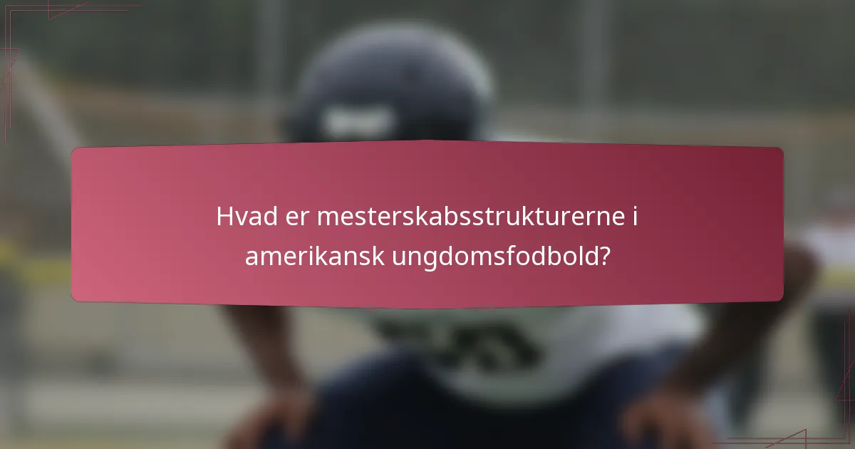 Hvad er mesterskabsstrukturerne i amerikansk ungdomsfodbold?
