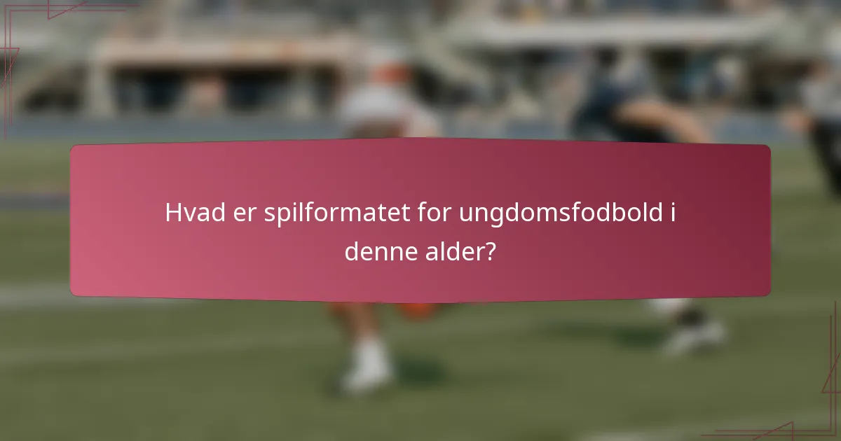 Hvad er spilformatet for ungdomsfodbold i denne alder?
