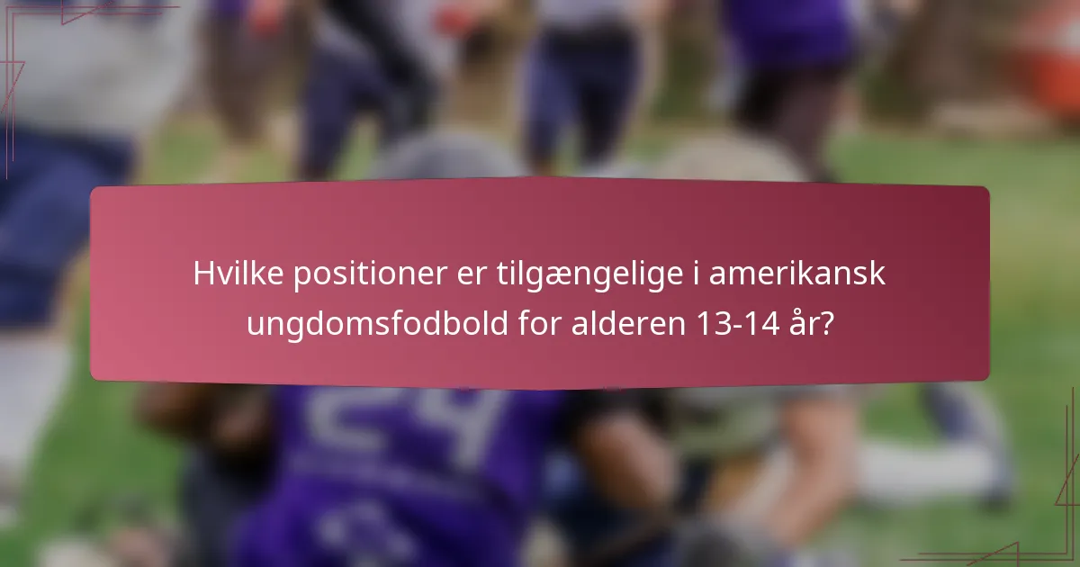 Hvilke positioner er tilgængelige i amerikansk ungdomsfodbold for alderen 13-14 år?