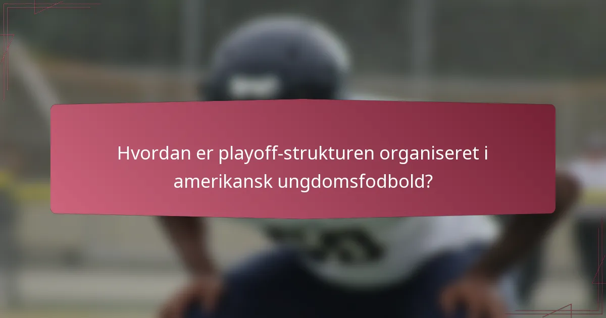 Hvordan er playoff-strukturen organiseret i amerikansk ungdomsfodbold?