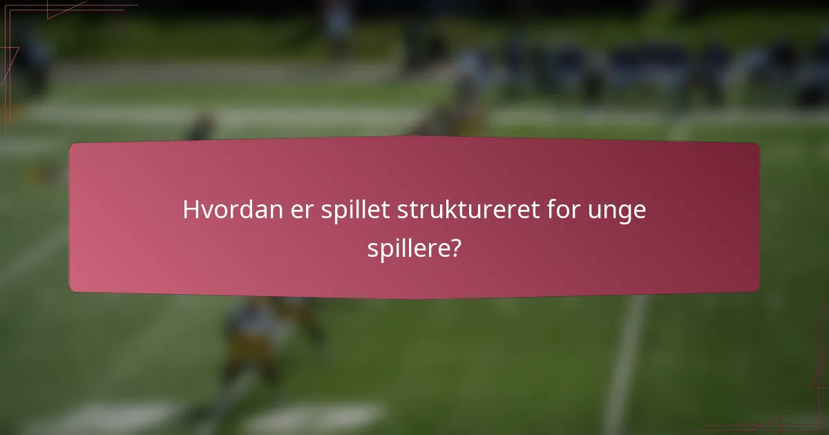 Hvordan er spillet struktureret for unge spillere?
