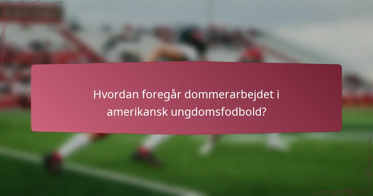 Hvordan foregår dommerarbejdet i amerikansk ungdomsfodbold?